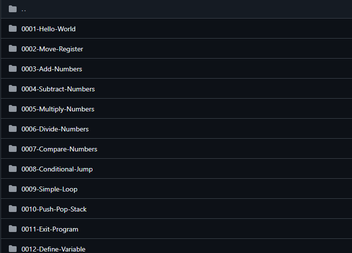 Assembly 300 Snippets screenshot